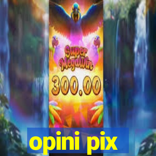 opini pix